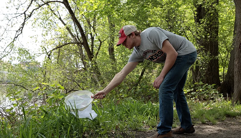 sustainability management course student collecting refuse outdoors