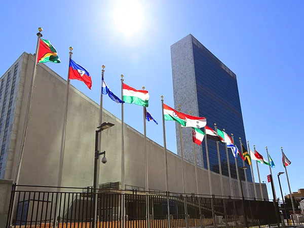 flags of the world, a representation of the worldliness of an international relations major