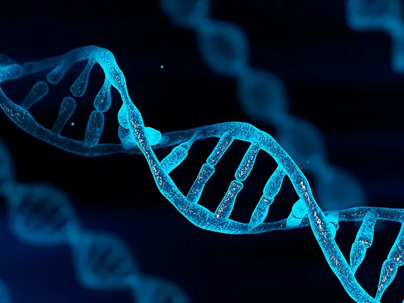 DNA strand render